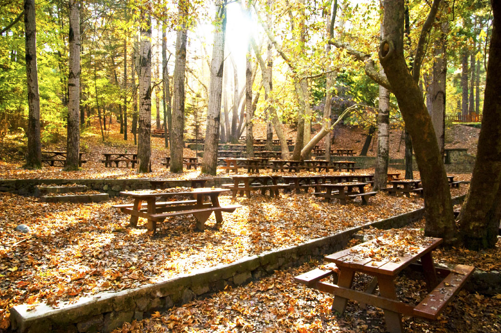 Autumn in Cyprus: Here are 5 things to do!