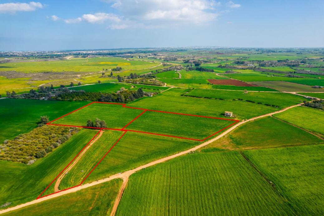 Investing in Agriculture Land in Cyprus: A Smart and Profitable Decision